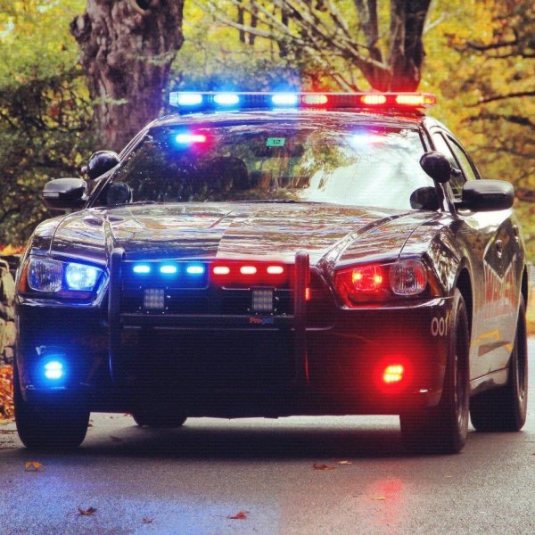 Полицейский dodge Charger