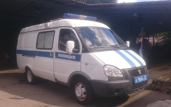 Газель Соболь ППС
