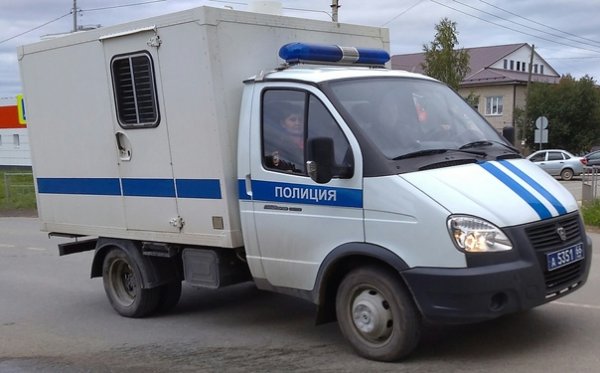 ГАЗ 3302 автозак полиция