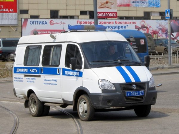Газель милиция