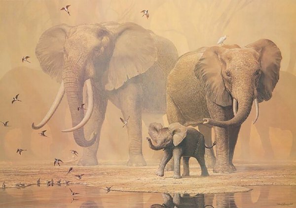 Арты боба и слон (49 фото)