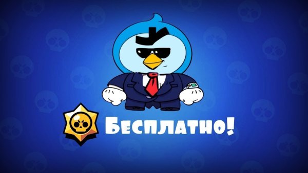 Мистер пи Браво старс