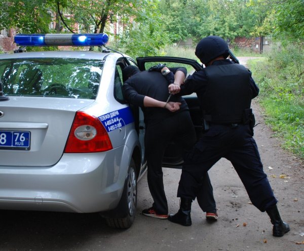Сажают в полицейскую машину