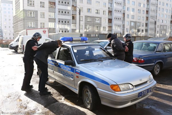 Сажают в полицейскую машину