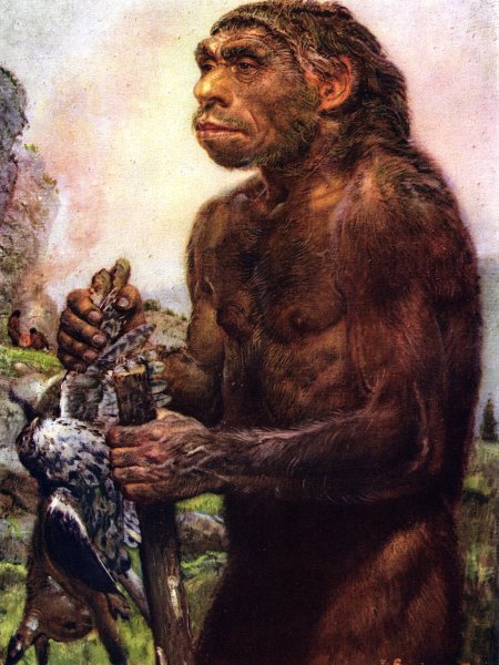 Неандерталец (homo Neanderthalensis)