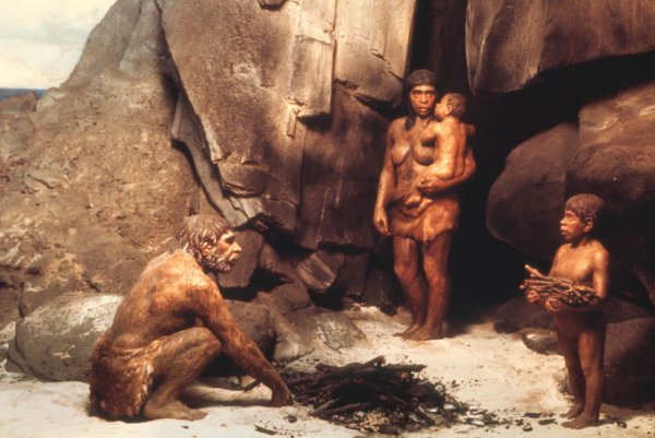 Homo sapiens человек разумный фильм 2005