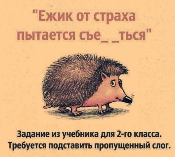 Ежик от страха хочет