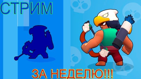 Бо из Браво старс