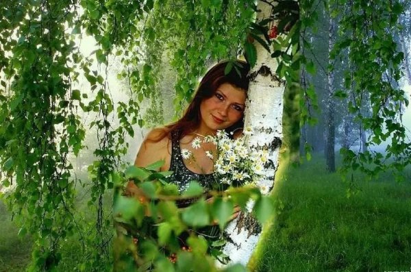 Фотосессия в березах