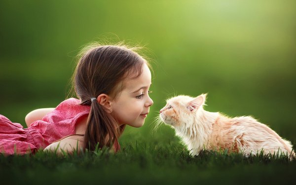 Для детей. Животные