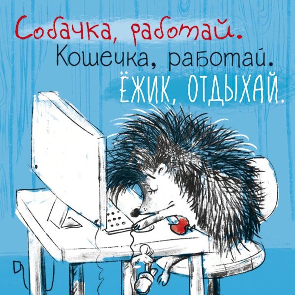 Ежик на работе