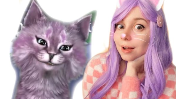 Кошка Лана Лана Лана
