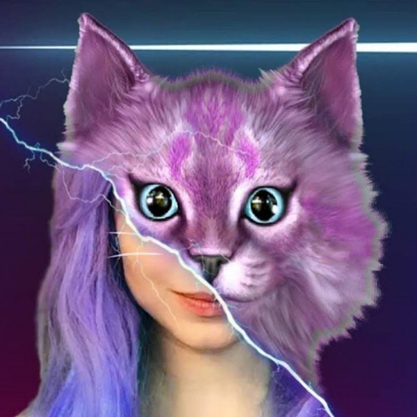 Лана кошка Лана