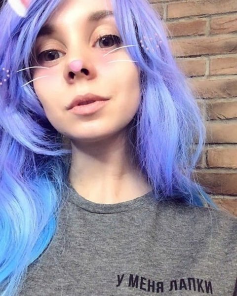 Кошка Лана человек