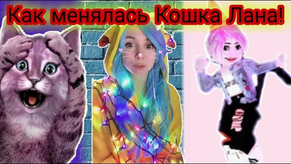 Кошка Лана в реале