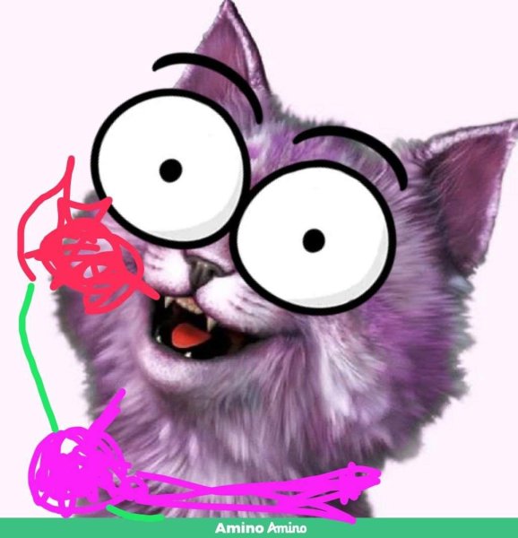 Кошка Лана