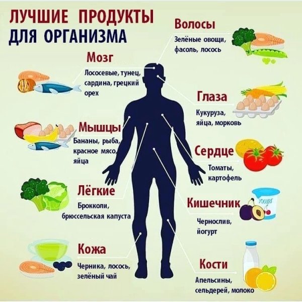 Самые полезные продукты