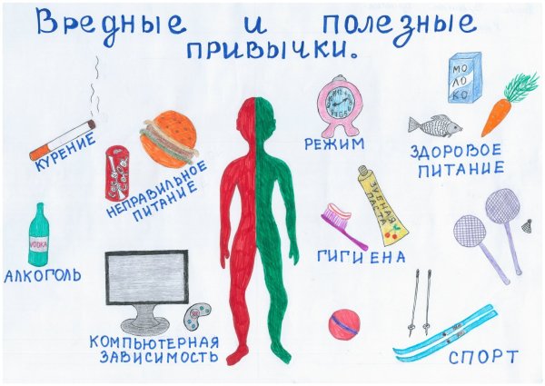 Полезные привычки и вредные привычки