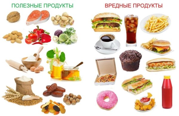 Вредная и полезная пища