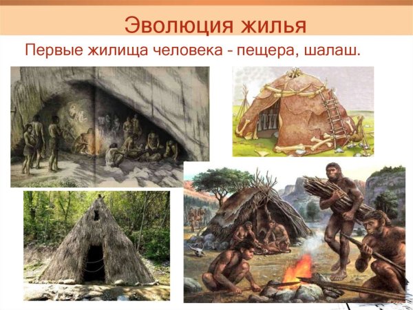 Жилища человека в древности