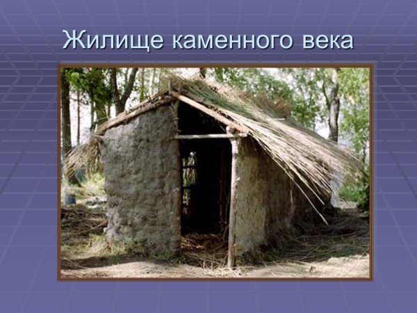 Жилтща каменноготвека