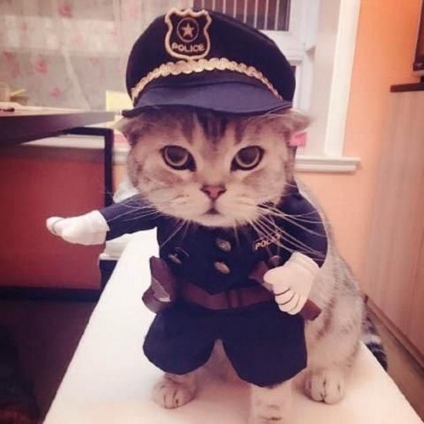 Костюм полицейский для кота