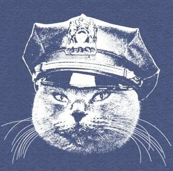 Котик в полицейской шляпе
