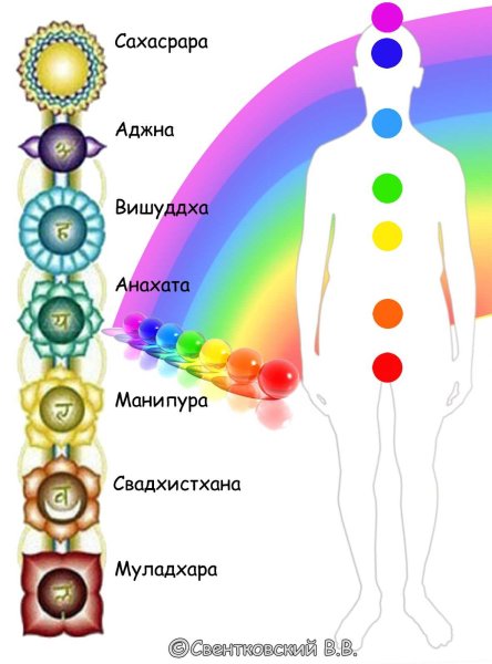 Чакры схема расположения