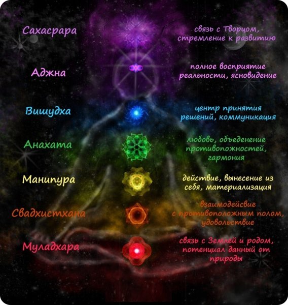 7 Чакр человека их расположение