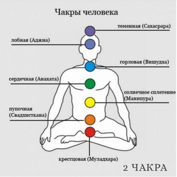 7 Чакр человека их расположение