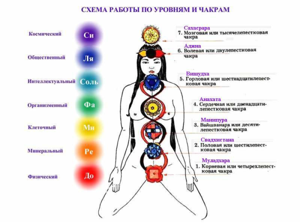 Энергетические центры человека чакры