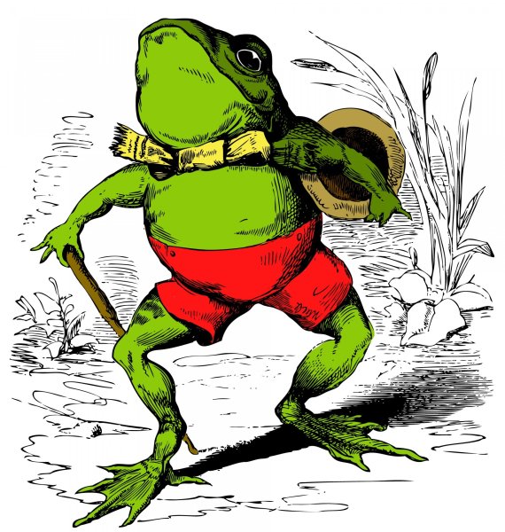 Лягушки Геншин