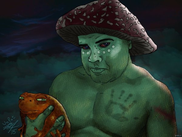 Жаба ХС