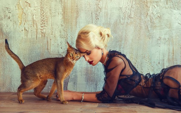 Фотосессия с кошкой
