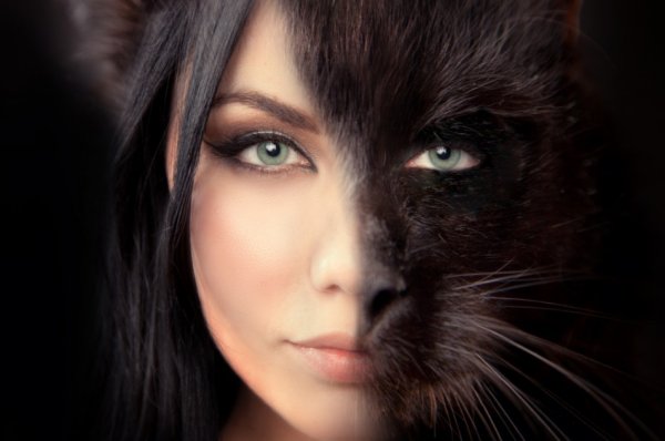 Девушка кошка