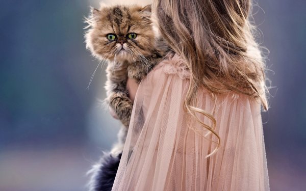 Девушка кошка