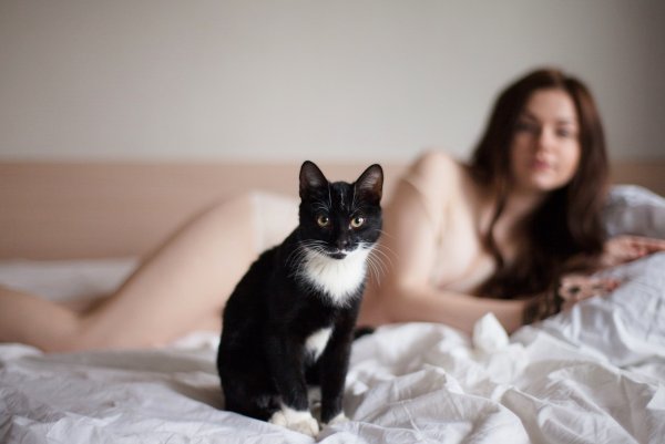 Девушка кошка