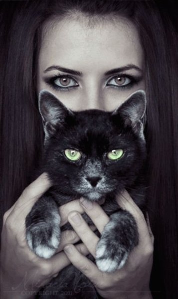 Девушка кошка