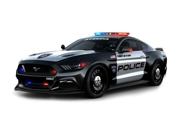 Mustang Police Interceptor