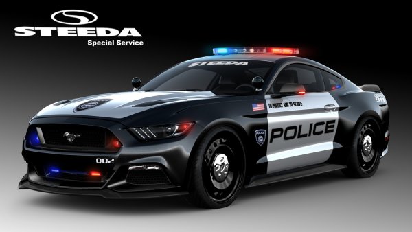 Ford Mustang gt 2005 Police