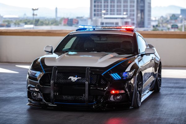 Ford Mustang Police Interceptor