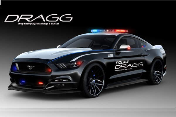 Ford Mustang 2015 Police