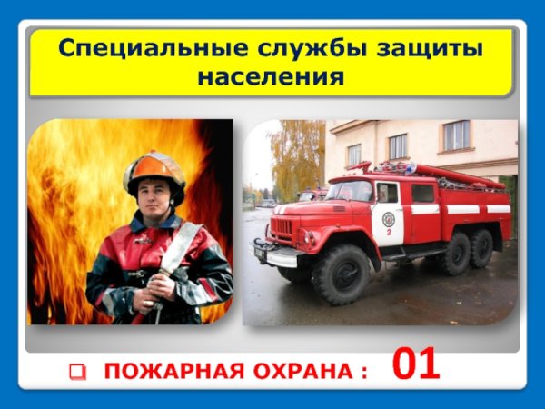 Специальные службы защиты населения