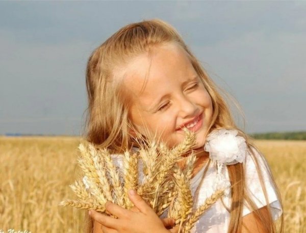 Хлебное поле и дети