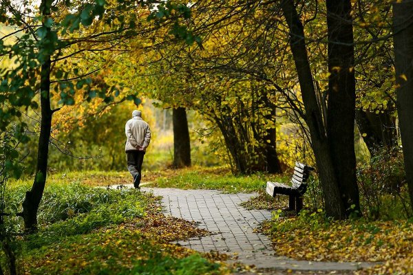 Люди в парке