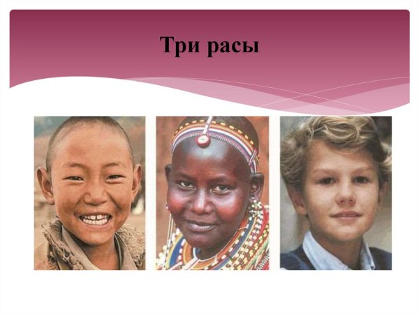 Расы людей на земле