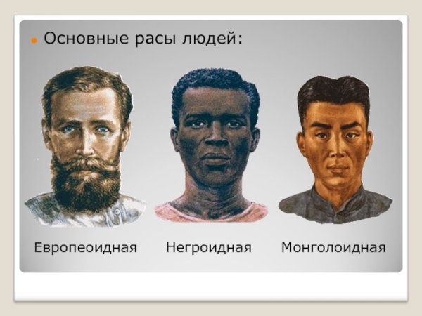 Каспийский Тип европеоидной расы