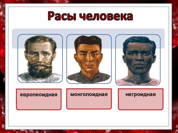 Основные человеческие расы: европеоидная, негроидная и
