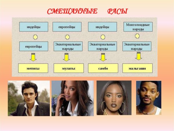 Мальгаши это смешанная раса