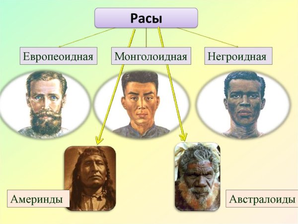 4 Расы людей на земле